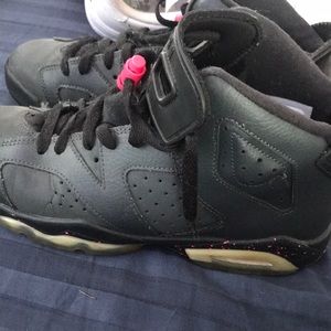 Painted Jordan 6